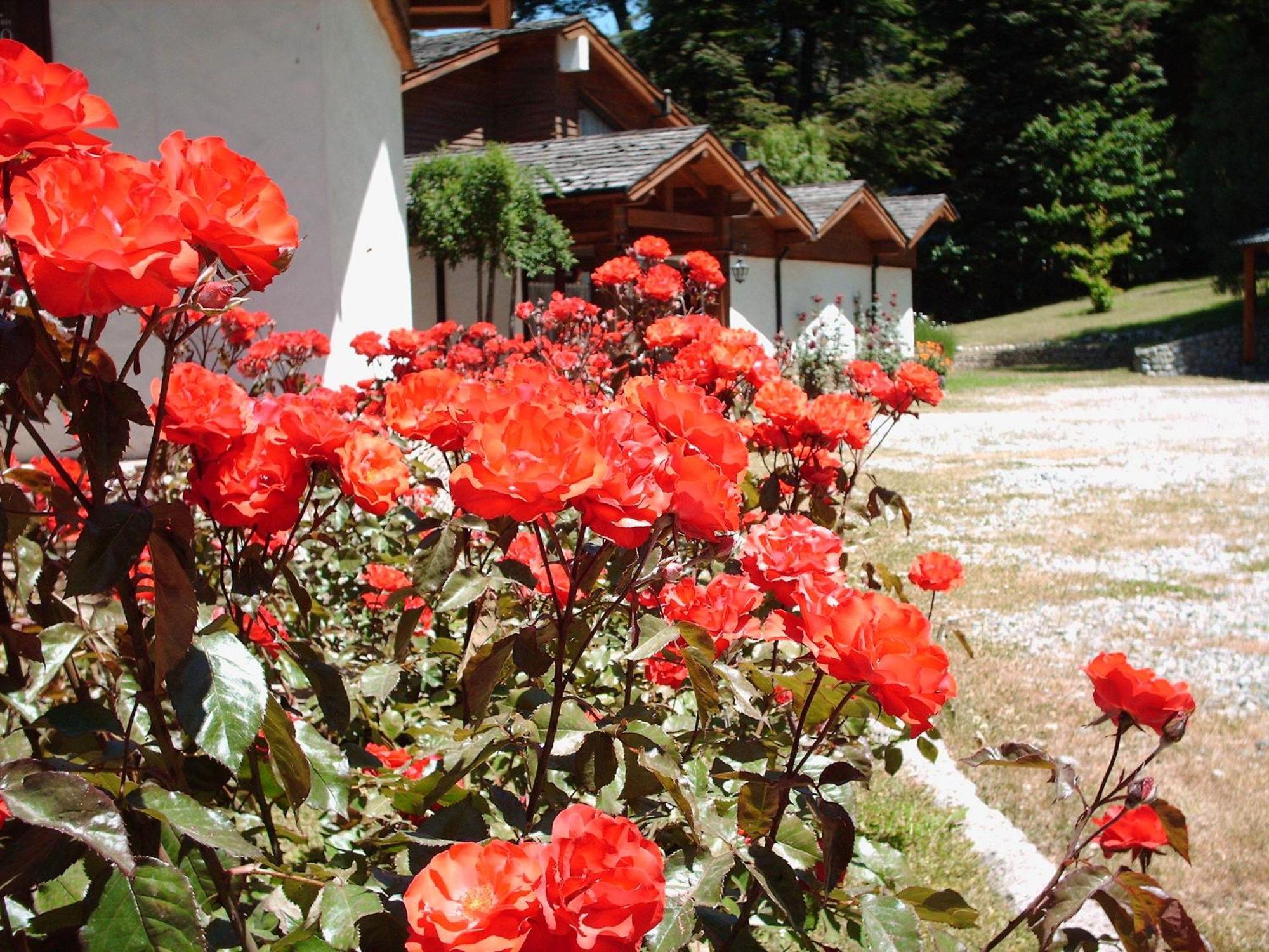 Hosteria El Condado San Carlos de Bariloche Exterior foto